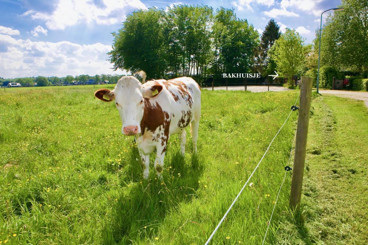 Bakhuisje Op De Veluwe Heerde Экстерьер фото