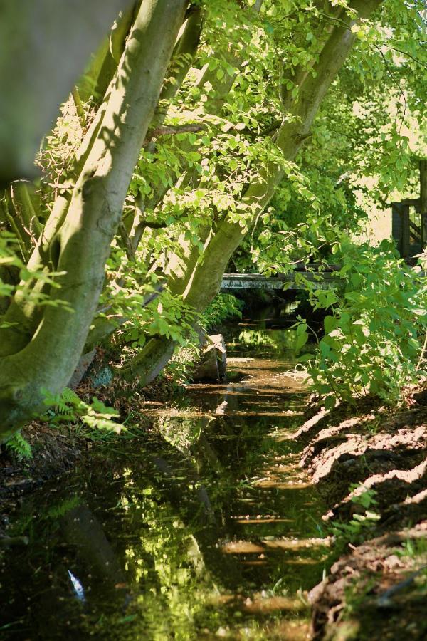 Bakhuisje Op De Veluwe Heerde Экстерьер фото